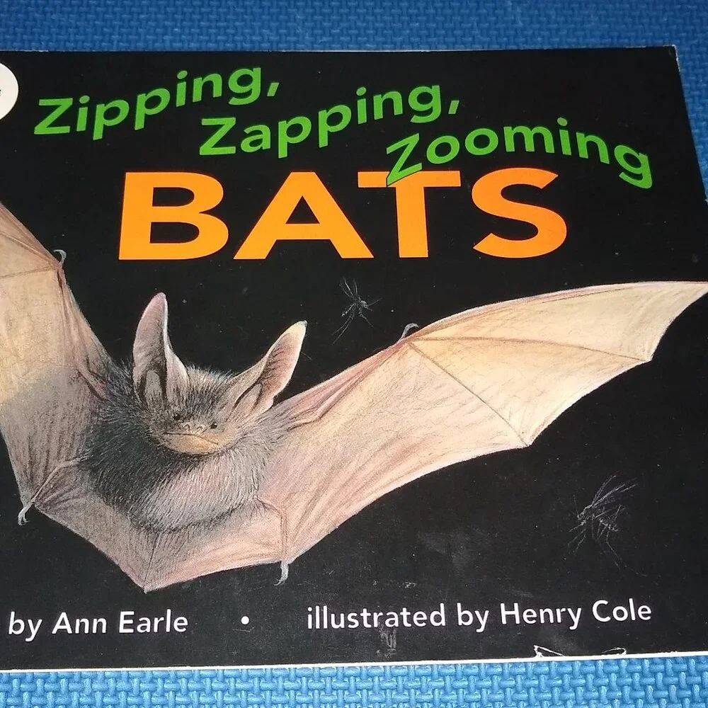 Leaf Hunt, Bats , Outside Inside, Time Fly, Bunny Bunny, Farmer Duck, Explorers